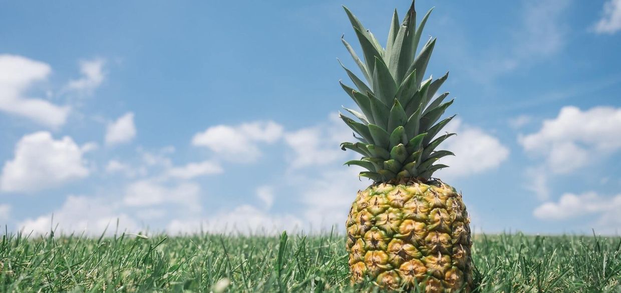 Page Not Found - Sorry, the page you're looking for isn't here